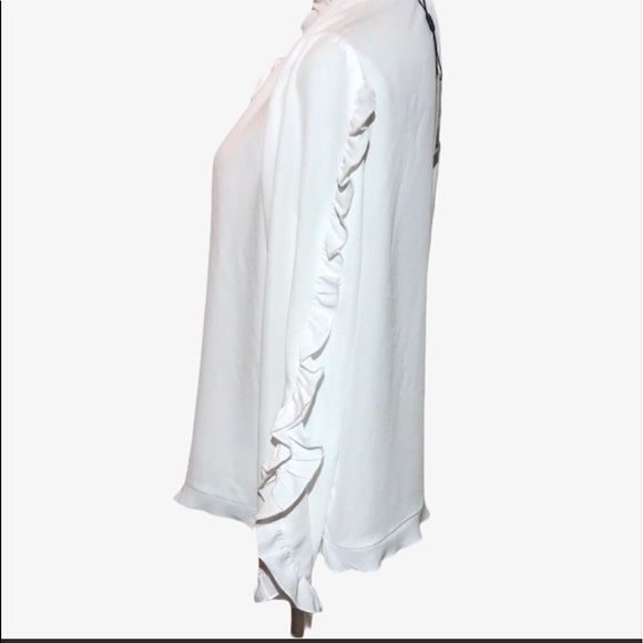 T Tahari Ruffled Sheer Long Sleeve Blouse Size L - Picture 5 of 9